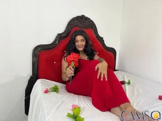 DOMINANCOCK’s Profile Photo