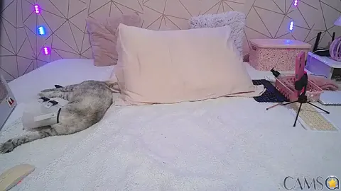 Irresistible24&rsquo;s Stripchat Profile Image