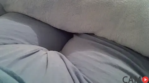 perescam’s Stripchat Profile Image